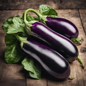 Eggplant Seeds – Ophelia