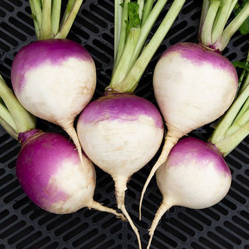 Rutabaga Seeds – Purple