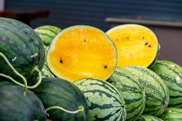 Watermelon Seeds - Yellow