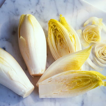 Chicory Seeds – Yellow