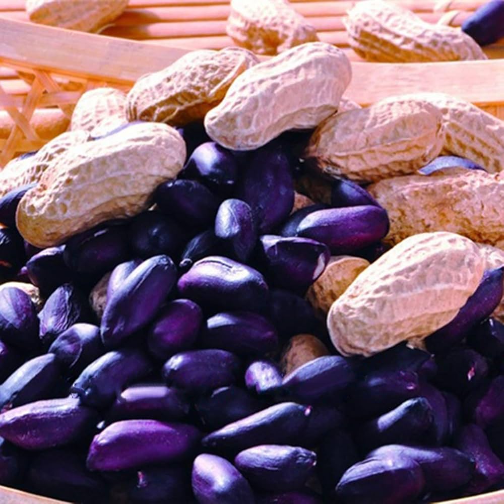 Peanut Seeds – Blue