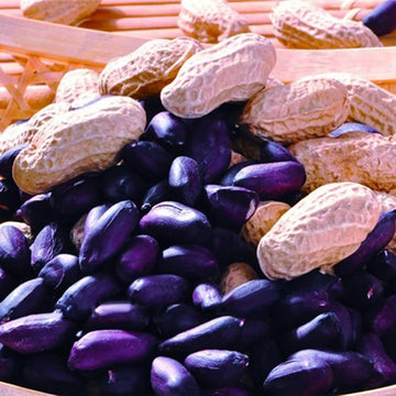 Peanut Seeds – Blue