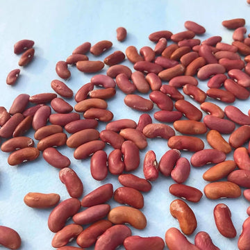 Yardlong Beans Seeds