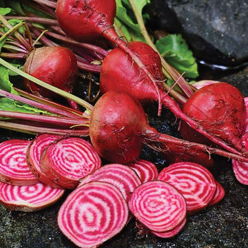 Beetroot Seeds – Pink