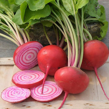 Beetroot Seeds – Pink