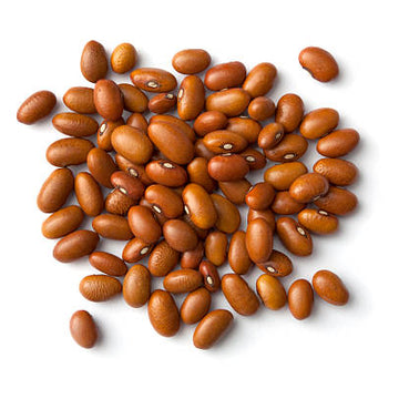 Brown Bean Seeds – Swedish