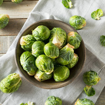 Brussel Sprout Seeds - Rare Heirloom