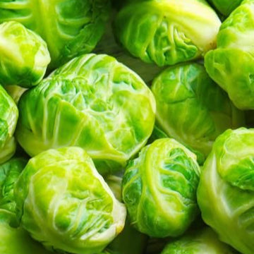 Brussels Sprout Seeds – Hybrid