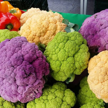 Cauliflower Seeds – Purple, Green & Yellow Mix