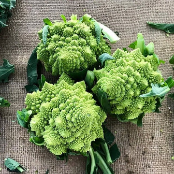 Cauliflower Seeds – Romanesco Broccoli