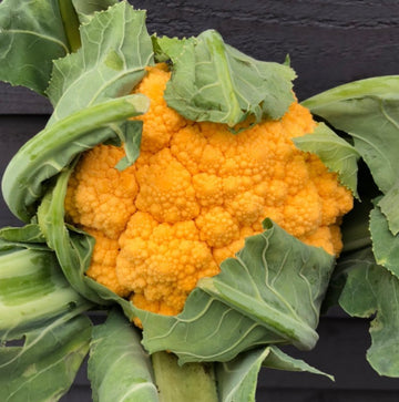 Cauliflower Seeds – Yellow