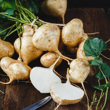 Yam Seeds