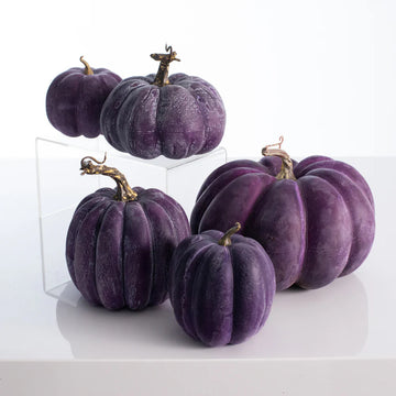 Pumpkin Seeds – Purple