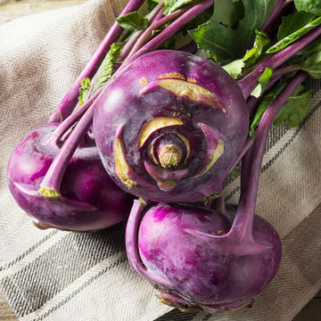 Kohlrabi Seeds – Early Purple Vienna
