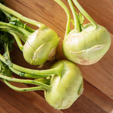 Kohlrabi Seeds – White Vienna