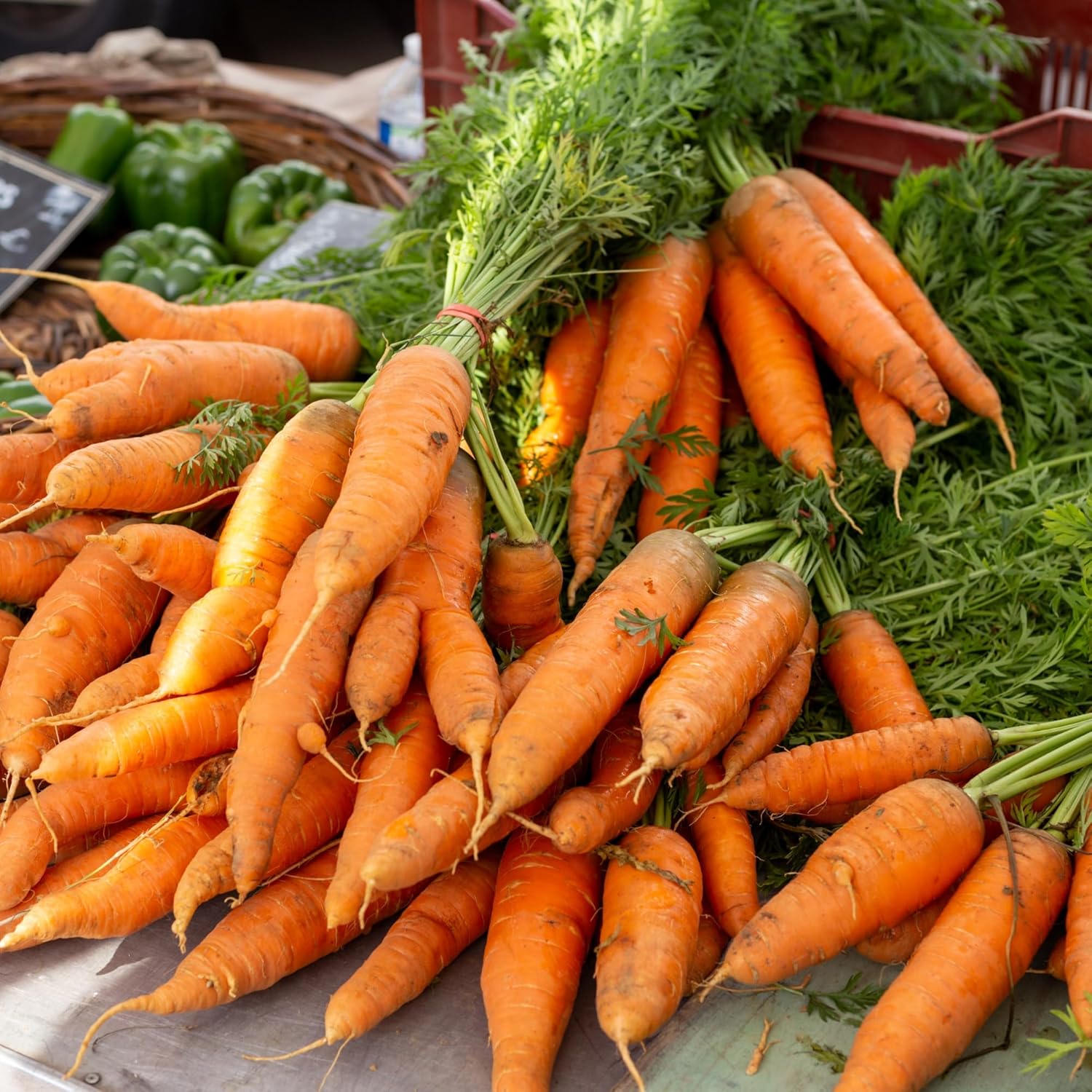 Kyoto Red Carrot Seeds