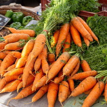 Kyoto Red Carrot Seeds