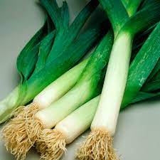 Leek Seeds – American Flag
