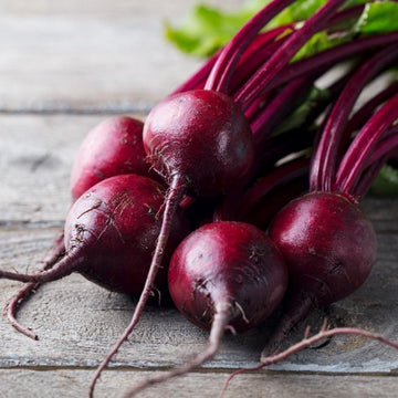 Beet Seeds – Purple
