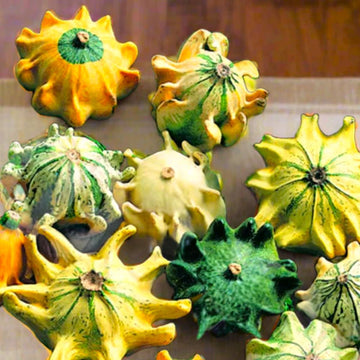 Thorn Gourd Seeds – Spiny Gourd