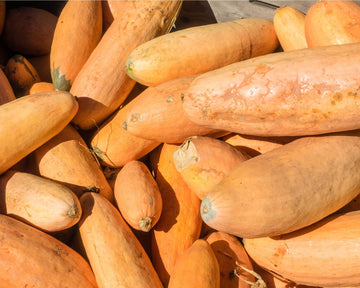 Pink Banana Squash Seeds