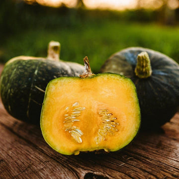 Squash Seeds – Burgess Buttercup Winter