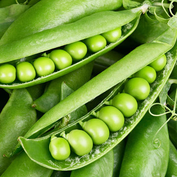 Sugar Ann Snap Pea Seeds