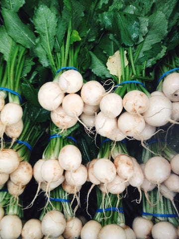 Turnip Seeds – Hakurei Hybrid Japanese