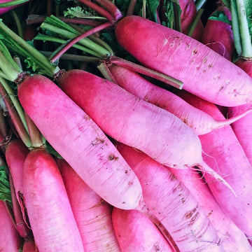 Radish Seeds – Pink