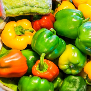 Pepper Seeds – Multi-Colored
