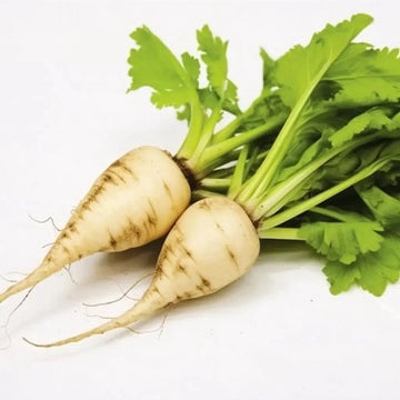 Sugar Beet Seeds – White