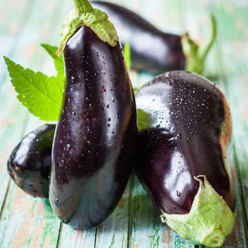 Eggplant Seeds – Ophelia