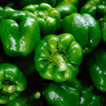 Bell Pepper Seeds – Standard
