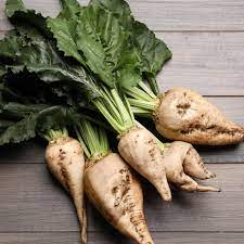 Sugar Beet Seeds – White