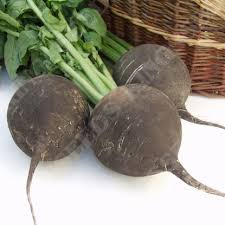 Radish Seeds – Grey