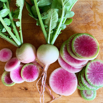 Watermelon Radish Seeds