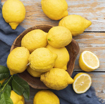 Meyer Lemon Seeds – Dwarf Citrus Variety
