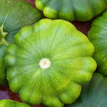 Squash Seeds – Malachite Green Patty Pan