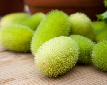 Green Wooly Bear Gourd Seeds