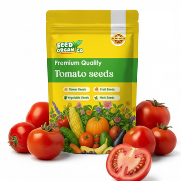 Tomato Seeds - Early Goliath