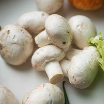 Mushroom Seeds – White